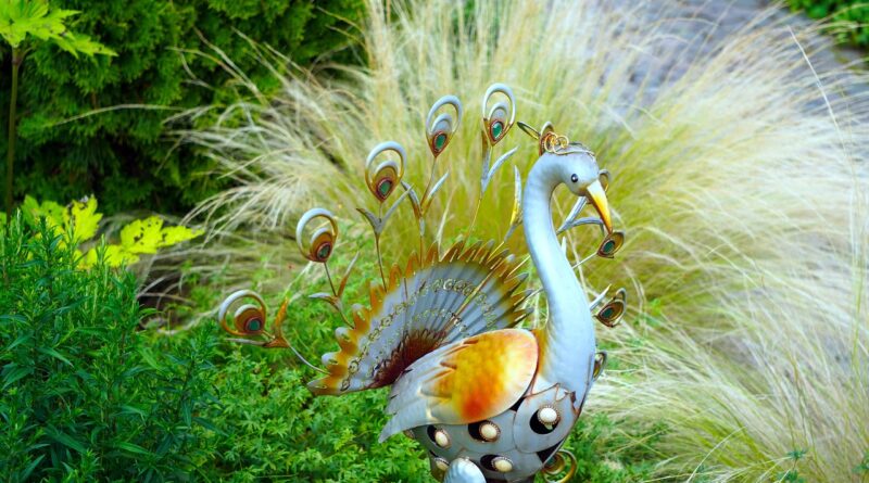 peacock, figure, sheet, garden decoration, metal, garden figure