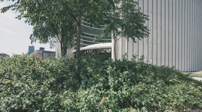 toronto city hall, new city hall, toronto, canada, architecture, ontario, building, modern, downtown, centre, roof, contemporary, structure, design, exterior, administration, city, park, plants, nature, vegetation, green city, green building, green news, green new