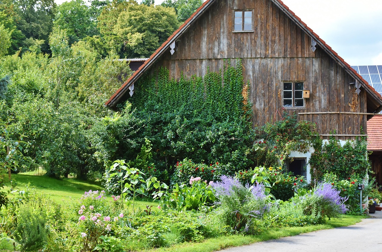 Old farmhouse layout ideas for restoring practical historic floor plans image 1 house, farmhouse, old house, old farmhouse, homestead, farm yard, rustic, sunny, window, wood, nature, idyllic, old building, farmhouse, farmhouse, homestead, homestead, homestead, homestead, homestead
