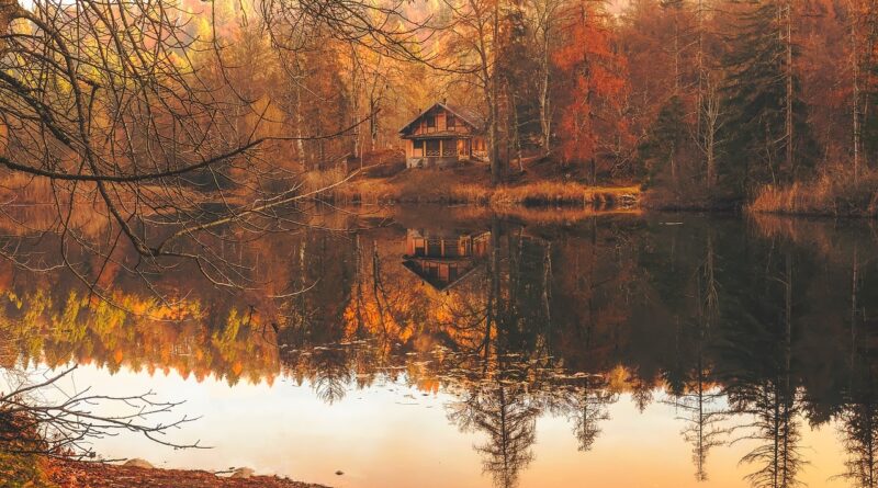 autumn, fall, cottage, house, hut, cabin, lake, water, reflections, landscape, nature, outdoors, forest, trees, woods, rural, brown nature, brown water, brown forest, brown house, brown landscape, brown tree, brown lake, brown natural, autumn, autumn, autumn, autumn, autumn, fall, fall, fall, fall, house, cabin