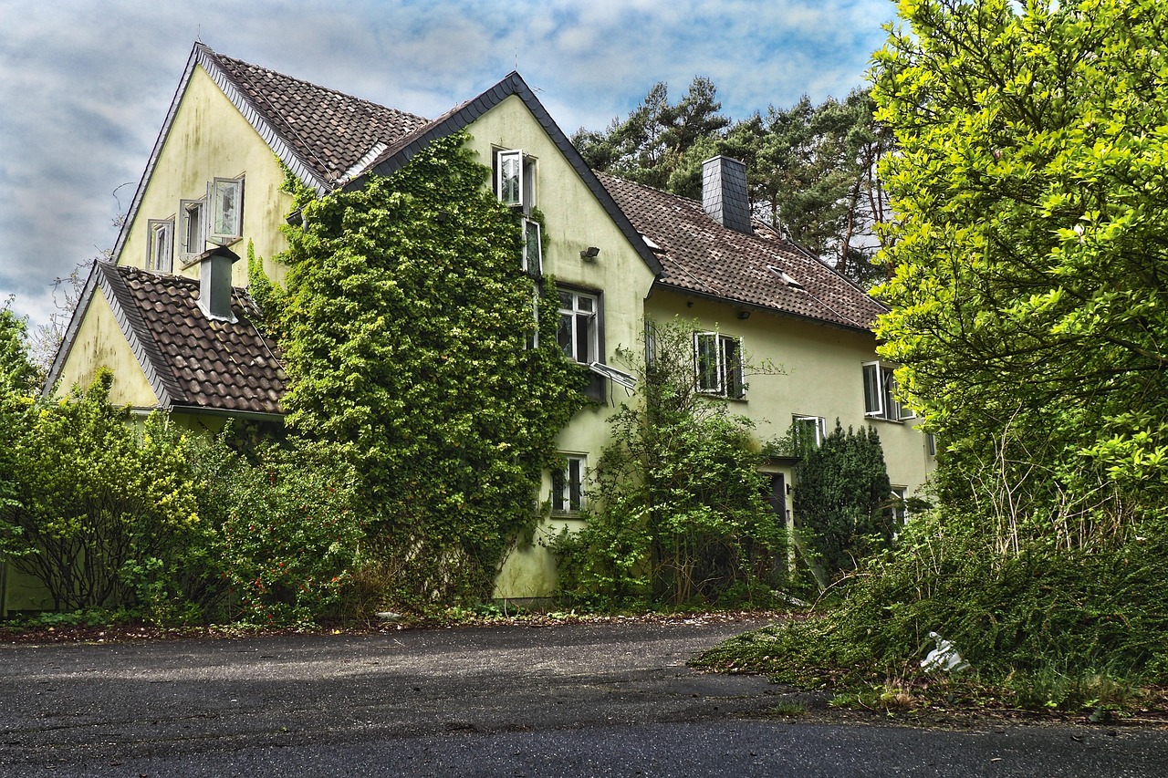 house, architecture, rural, garden, nature, building, old, tree, grass, outside, green, meadow, plant, grasses, in the free, outdoors, green grass, spring, lawn, high grass, overgrown, wisteria, disintegration, weathered, decay, neglected, dilapidated, dilapidated, shabby, transience, broken, ephemeral, ruin, lost, passed, to forget, lost places, past, pforphoto, ailing, forgotten places, given up, destruction, finiteness, disintegrate, dirt, dirty, hdr