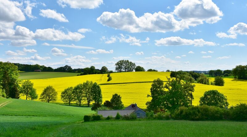 landscape, nature, oilseed rape, field, agriculture, rural, panorama, spring, grain, clouds, heaven, expanse, fields, cloudy, sun, blue, weather, green, yellow, meadow, hill, weather mood, idyllic, in the green, free space, growth, harvest, graze, homeland, bavaria, agriculture, spring, spring, spring, spring, spring, weather