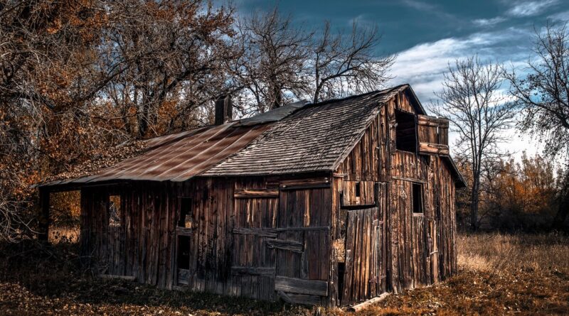 barn, abandoned, farm, homestead, farm house, trees, ranch, nature, dilapidated, wooden, structure, building, rural, countryside, grass