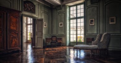 living room, interior, vintage, room, furniture, interior design, historical, wooden floor, window, parquet, old, antique, house, living room, living room, living room, living room, living room, room