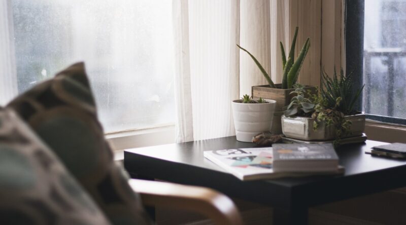 home, house, interior, design, living, bedroom, side, table, nature, ceramic, pots, potted, plants, cactus, aloe