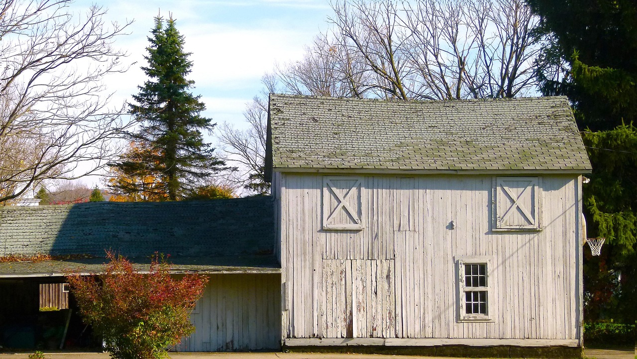 wood, house, historical, barn, abandoned, rustic