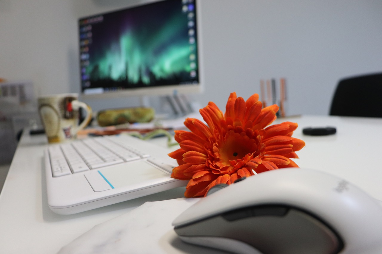 workspace, home office, office desk, computer setup, white keyboard, wireless mouse, desktop monitor, orange flower, gerbera daisy, productivity, modern office, cozy desk, tech and nature, creative space, digital work, computer desk, office inspiration, remote work, floral decor, personal workspace, screen background, colorful detail, feminine desk, work from home, desk aesthetics