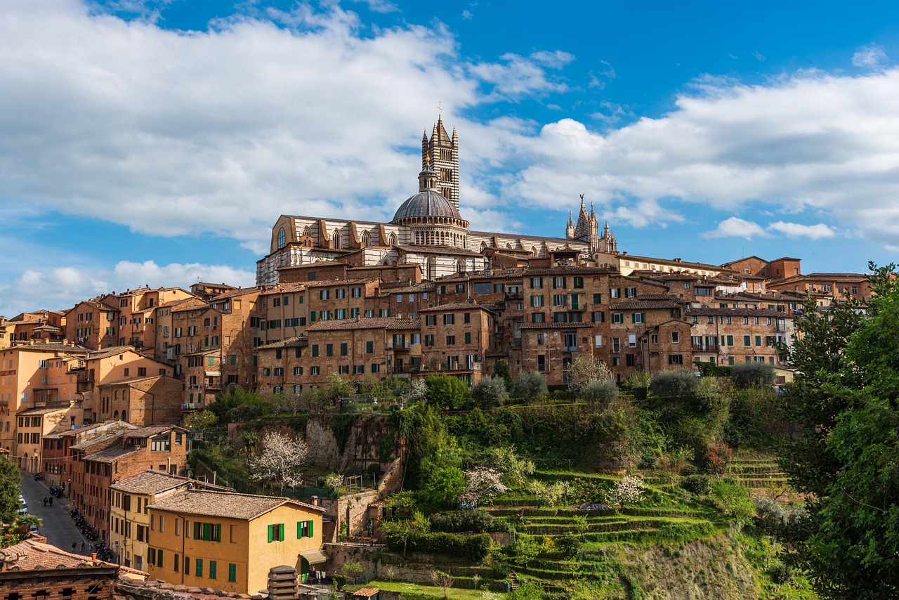 photo, siena, medieval city, architecture, culture, tower, church, religion, saint catherine of siena, tile roof, red house, tourism, italy, conservation, development planning, siena, siena, siena, siena, siena, italy, italy