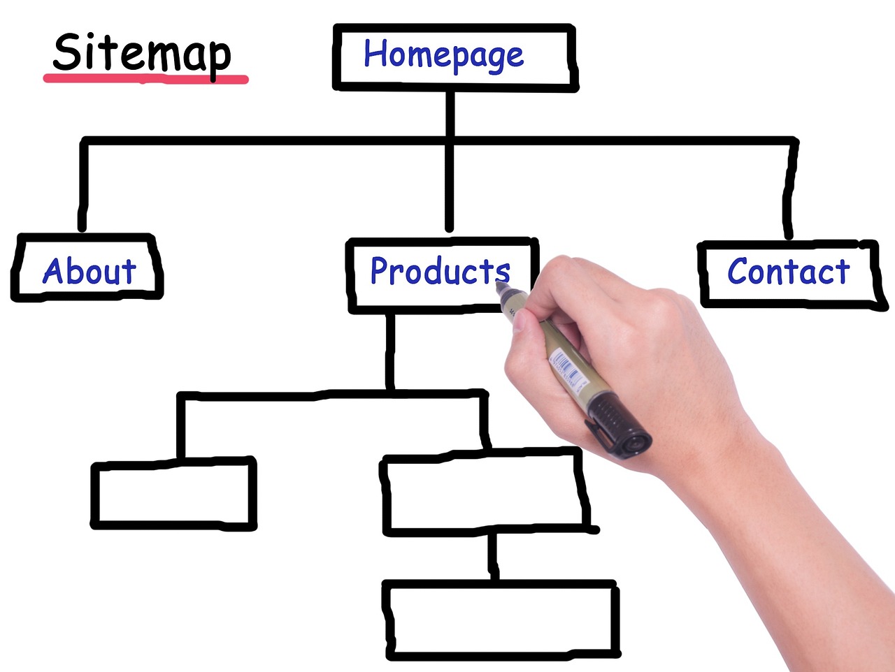 sitemap, pedigree, website hierarchy, sitemap, sitemap, sitemap, sitemap, sitemap