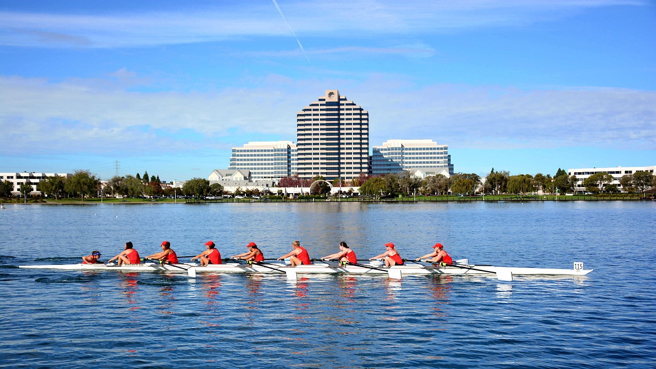 sports, foster city, rowing, rowing 8, regatta, california, competition, outside, race, nature, sea, boats, san francisco