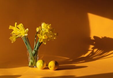 daffodils, home decor, yellow, lemons, daffodils, home decor, home decor, home decor, home decor, home decor, yellow