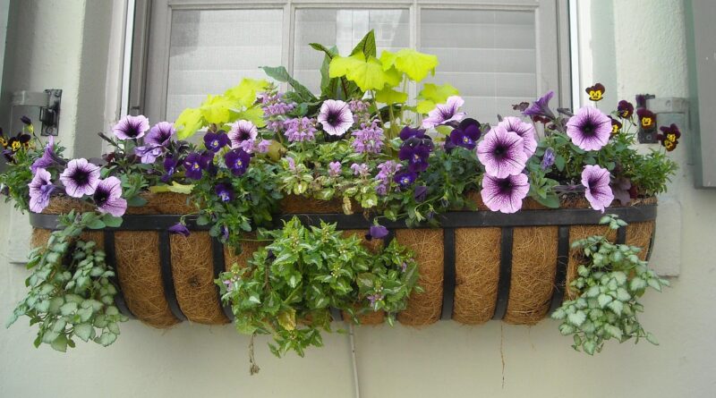 window box, flowers, window, box, house, architecture, flower background, exterior, home, old, wall, summer, beautiful flowers, decoration, white, building, facade, flower wallpaper, colorful, plant, green, nature, frame, color, glass, garden, floral, stone, design, city, decorated